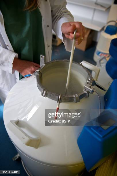 液氮罐內(nèi)提取樣品